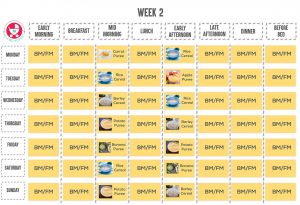 6 month baby food chart
